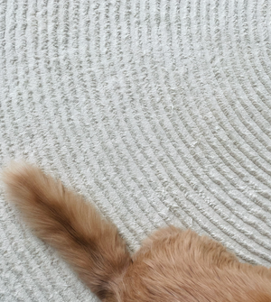 Behind the weave: Staff pet picks