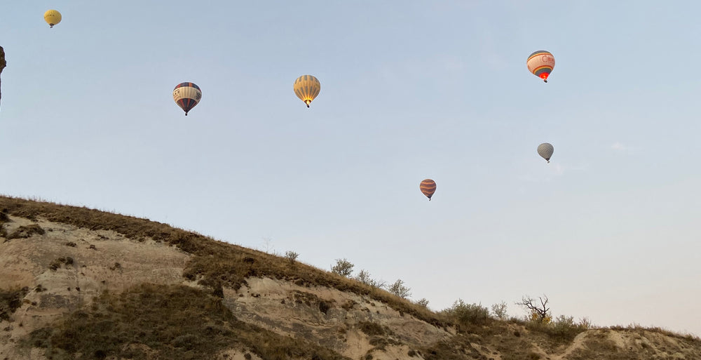 Regional Spotlight: Anatolia