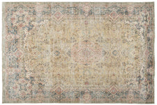 Vintage Distressed Rug Loleda