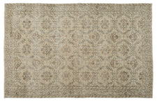 Vintage Distressed Rug Elunara