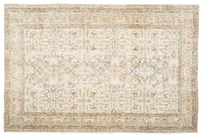 Vintage Distressed Rug Florira