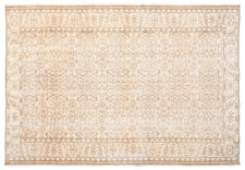 Vintage Distressed Rug Disae