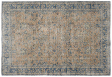 Vintage Distressed Rug Jolor