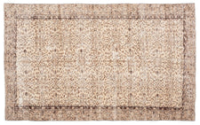 Vintage Distressed Rug Isina