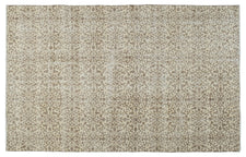 Vintage Distressed Rug Myrelia
