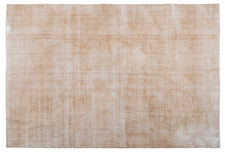 Vintage Distressed Rug Sornic