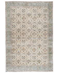 Vintage Distressed Rug Fione