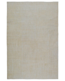 Vintage Distressed Rug Moeve