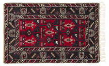 Dafnoula CAN