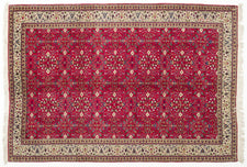 Cathelijn CAN