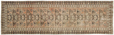 Sinziana DRN