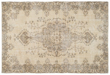 Vintage Distressed Rug Aileene